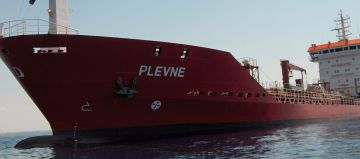 PLEVNE